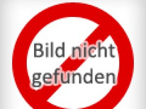 single party nienburg